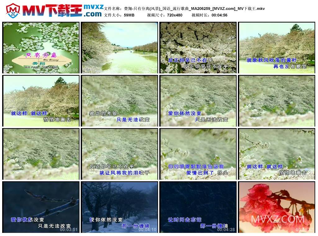 费翔-只有分离(风景)_国语_流行歌曲_MA206259